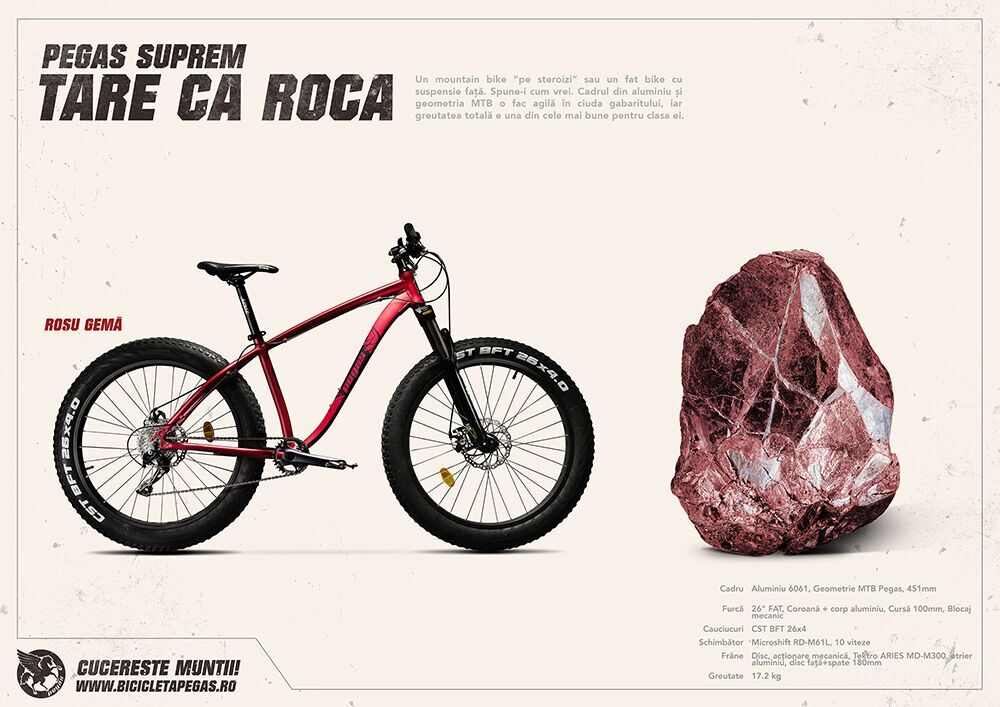 Pegas Suprem: caracteristicile MTB și Fat Bike se întâlnesc într-o bicicletă de vârf